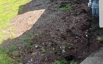 Photo of Susan M.'s yard after getting landscaping in Narragansett, RI
