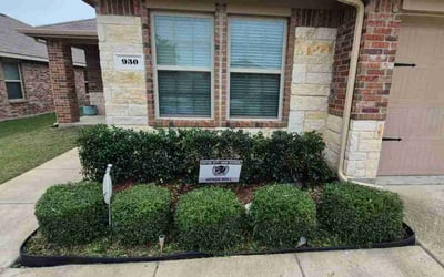 Photo of Kevin M.'s yard after getting landscaping in Fate, TX