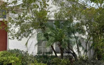 Photo of Joshua f.'s yard after getting landscaping in Saint Leo, FL