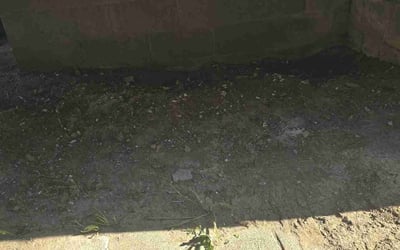 Photo of Elizabeth S.'s yard after getting landscaping in Lockbourne, OH