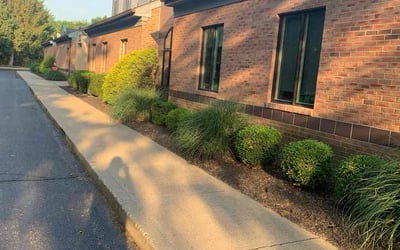 Photo of Michelle C.'s yard after getting landscaping in Murray City, OH