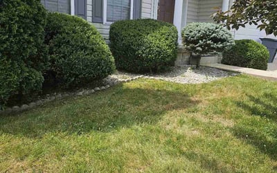 Photo of Brenda F.'s yard after getting landscaping in Joppa, MD