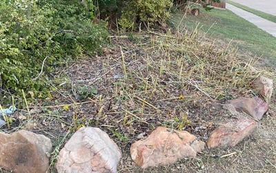 Photo of Fern C.'s yard after getting tree care in Colleyville, TX