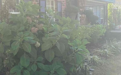 Photo of Kathy H.'s yard after getting landscaping in Mount Washington, KY
