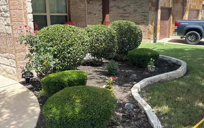 Photo of Jayne M.'s yard after getting landscaping in Round Rock, TX