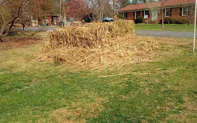 Photo of Tracey A.'s yard after getting tree care in Cherryville, NC