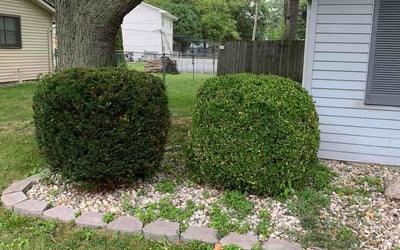 Photo of Sandra H.'s yard after getting landscaping in Columbia City, IN