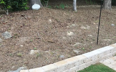 Photo of Roy T.'s yard after getting tree care in Auburn, GA