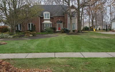 Photo of Douglas W.'s yard after getting tree care in Mansfield, OH