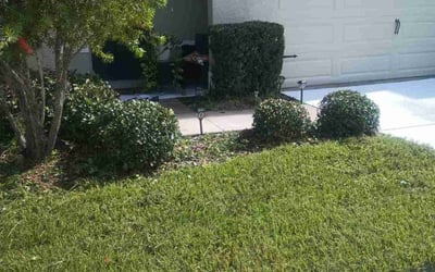 Photo of Javonica G.'s yard after getting lawn care in Sun City Center, FL