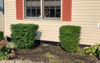 Photo of Linda B.'s yard after getting landscaping in Mount Perry, OH