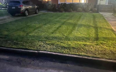 Photo of Mike G.'s yard after getting landscaping in Studley, VA