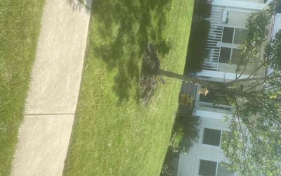 Photo of Patrick P.'s yard after getting landscaping in Spotsylvania, VA