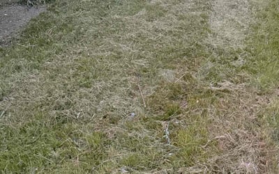 Photo of Paul S.'s yard after getting landscaping in Big Lake, MN