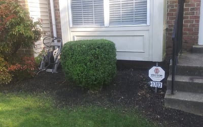 Photo of Stacey C.'s yard after getting landscaping in Amissville, VA