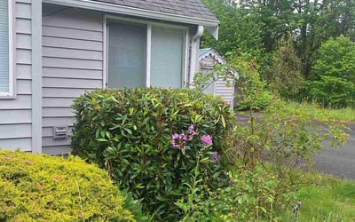 Photo of Charles P.'s yard after getting landscaping in Mukilteo, WA