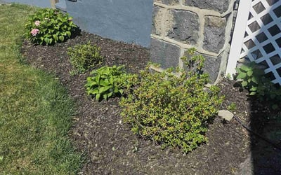 Photo of Rebecca M.'s yard after getting landscaping in Revere, MA