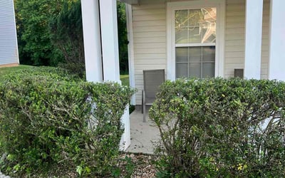 Photo of Demond M.'s yard after getting landscaping in Fuquay Varina, NC