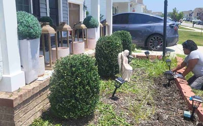 Photo of Rhonda Gale T.'s yard after getting tree care in Poquoson, VA