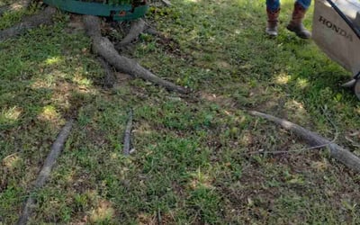 Photo of Andrew G.'s yard after getting landscaping in Mckinney, TX