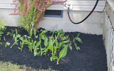 Photo of Kira G.'s yard after getting landscaping in Isle Of Wight, VA