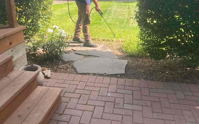 Photo of Michael L.'s yard after getting landscaping in Aurora, OR