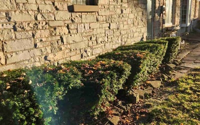 Photo of Kathleen P.'s yard after getting landscaping in Saint Francis, WI