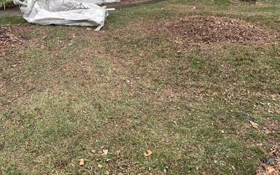 Photo of Ken K.'s yard after getting landscaping in Morgantown, IN