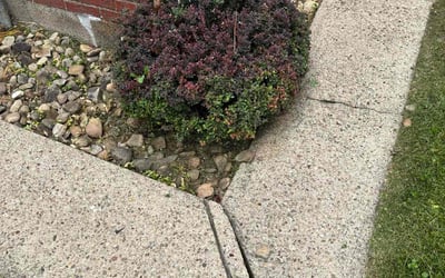 Photo of Karen A.'s yard after getting landscaping in Mckeesport, PA