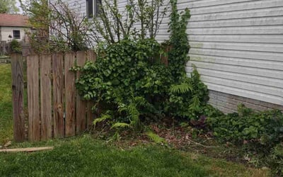 Photo of Michael S.'s yard after getting landscaping in Williamsport, OH