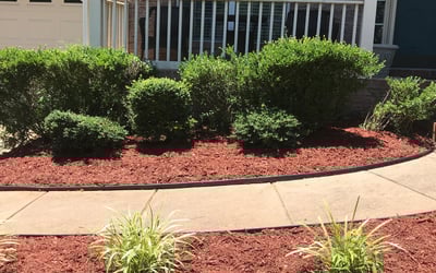 Photo of Donna D.'s yard after getting landscaping in Hickory Grove, SC