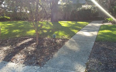 Photo of John S.'s yard after getting landscaping in Rio Medina, TX