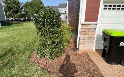 Photo of Amanda K.'s yard after getting landscaping in Carrollton, VA