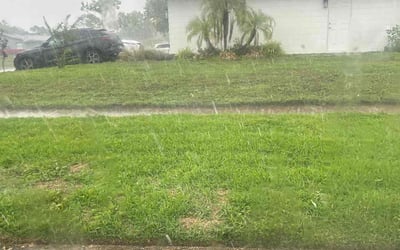 Photo of Shawn S.'s yard after getting landscaping in Winter Park, FL