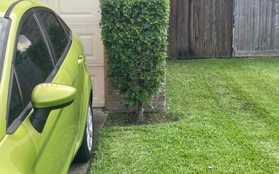 Photo of James W.'s yard after getting landscaping in La Porte, TX