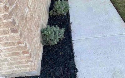 Photo of Bonnie M.'s yard after getting landscaping in Dale, TX