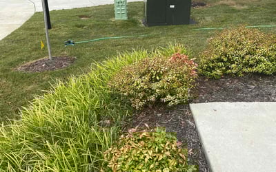 Photo of Pamela H.'s yard after getting landscaping in White Marsh, VA