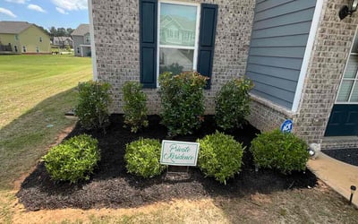 Photo of Kim G.'s yard after getting landscaping in Locust Grove, GA