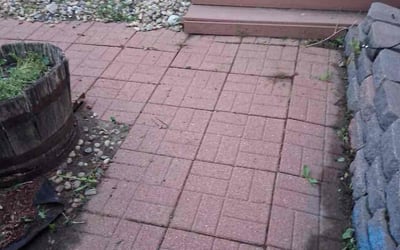 Photo of Jan M.'s yard after getting landscaping in Matheson, CO