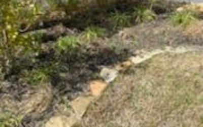 Photo of Jessica C.'s yard after getting landscaping in Liverpool, TX