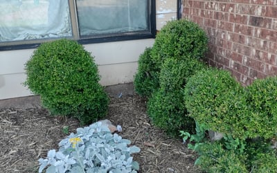 Photo of Teresa G.'s yard after getting landscaping in Wellston, OK