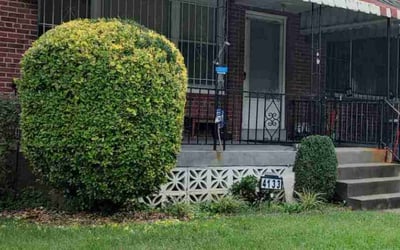 Photo of Ron B.'s yard after getting landscaping in Owings, MD