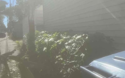 Photo of Donald C.'s yard after getting landscaping in Isanti, MN