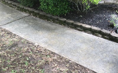 Photo of Ryan S.'s yard after getting landscaping in Winnie, TX