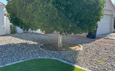 Photo of Darci C.'s yard after getting lawn care in Sun City West, AZ