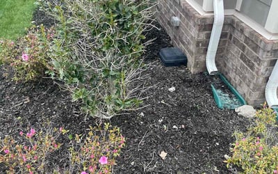 Photo of Katelynn D.'s yard after getting tree care in Nashville, TN