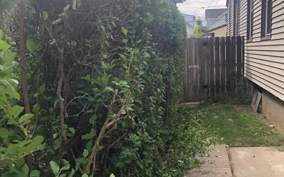 Photo of Jonathan S.'s yard after getting landscaping in Sussex, WI