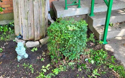 Photo of Vanessa D.'s yard after getting landscaping in Wilmer, TX
