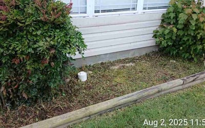 Photo of Matthew W.'s yard after getting landscaping in Memphis, TN