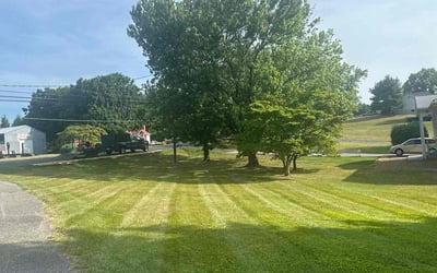 Photo of John M.'s yard after getting lawn care in Westminster, MD